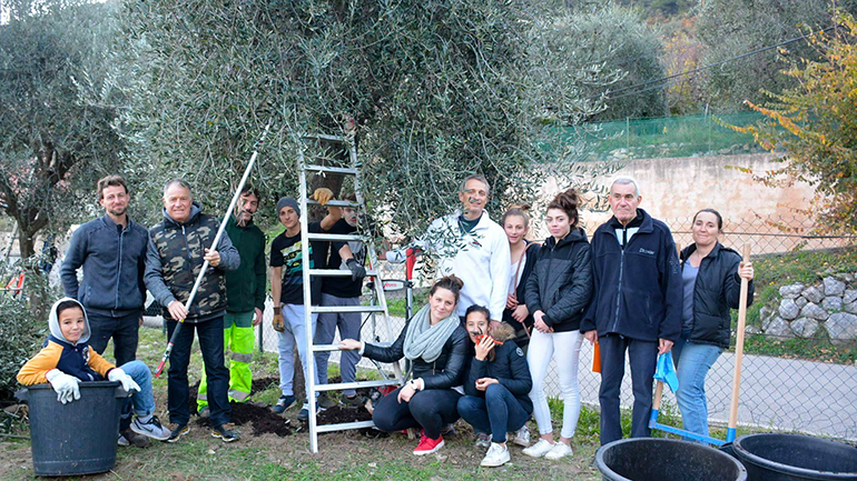 De l'huile d'olive pour financer un séjour : les jeunes et les oliviers